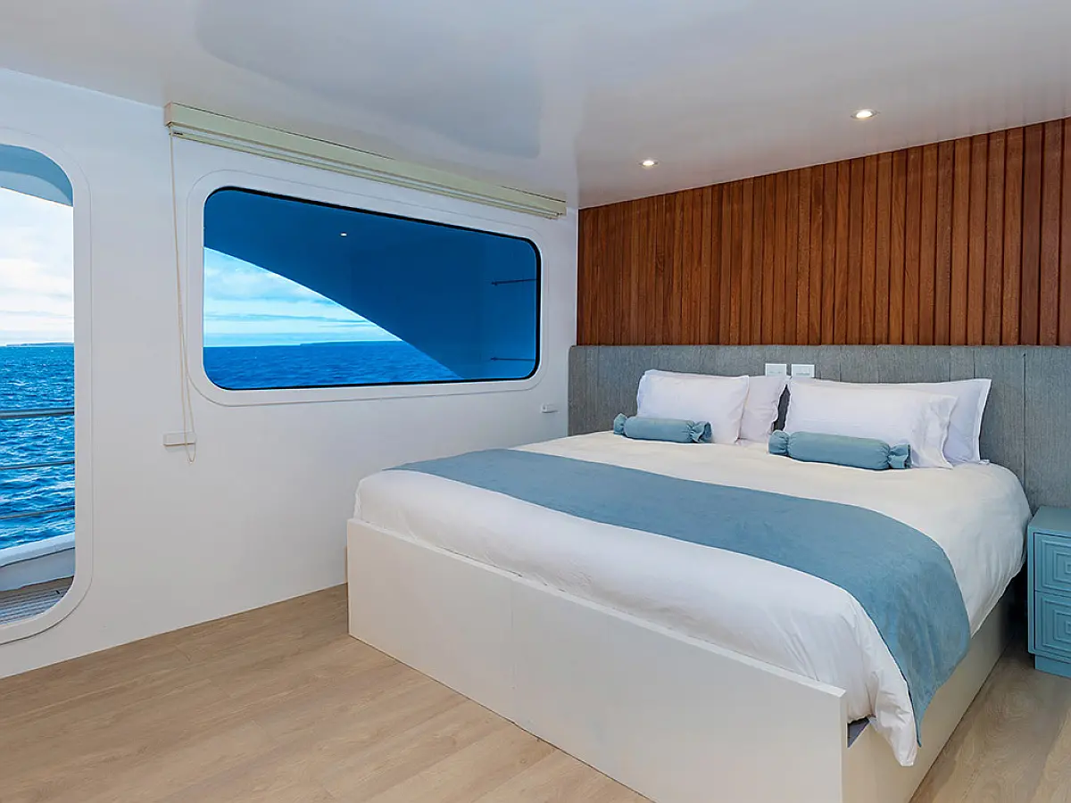 Power Catamaran C